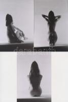 cca 1975 Kicsit még szégyenlős, finoman erotikus fényképek, 13 db modern nagyítás korabeli negatívok...