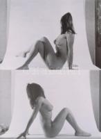 cca 1975 Kicsit még szégyenlős, finoman erotikus fényképek, 13 db modern nagyítás korabeli negatívok...