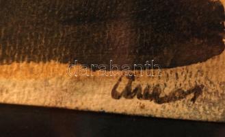 Ámos jelzéssel: Zsóké. Olaj, papír, üvegezett keretben, 19×28 cm