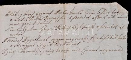 1739 Fancsikai birtokról készült jegyzék Lippert Gábor pénzverőmester özvegye, Lázár Borbála részére...