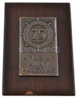 1970. "75 éves a Magyar Állami Hajózás 1895-1970" Br lemezplakett (80x49mm) fa talapzaton (126x90mm) T:2