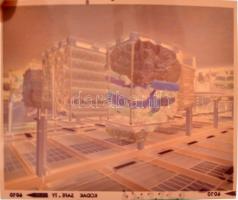 1977 Budapest, Nagy riport a Pamutnyomó Vállalatról, gépek, üzembelsők, termékek, munkafolyamatok, 5...