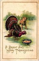 Thanksgiving greeting card, turkey with dog, Thanksgiving Series Number 81. Emb. litho (EK)