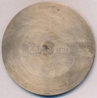 1972. "1000 éves Székesfehérvár" Br plakett tokban (83mm) T:2