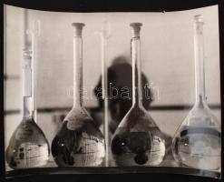 cca 1980 Kaviák Ágnes: Laborban, feliratozott vintage fotóművészeti alkotás, a kép tetején kis sérüléssel, 30x40 cm