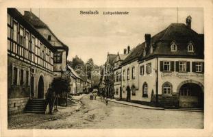 Sesslach, Luitpoldstrasse, Nikolaus Franz's Gasthof und Brauerei zur goldenen Krone / street, guest house and brewery (r)