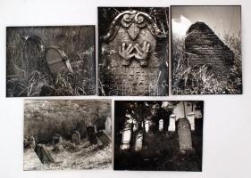 cca 1983 Wirth Péter: Zempléni zsidó temetők (Zsujta, Gönc, Olaszliszka, Tolcsva), 5 db feliratozott vintage fotó, fekete kartonon, 30x24 cm