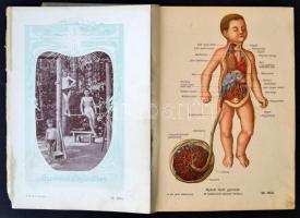 11 db vegyes nyomat Hugonnai Vilma: A nő mint háziorvos c. könyvből, hártyapapírral