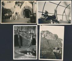 cca 1938-1959 Budapest, Életképek az állatkertből, 4 db fotó, 6x9 cm