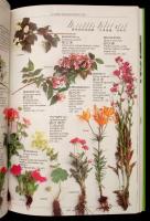 3 db kertészeti könyv: Hamilton, Geoff: Az élet kertje.(Bp., 1990); Brookes, John: Apró kertek (Bp.,...