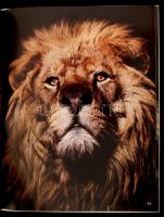 Welcome to Zooland! h. n., é. n., MOGÜRT. Szerk.: Lászlófi, Ibolya. Kartonált papírkötésben, jó álla...