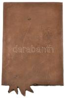 DN "Kossuth" Br plakett (100x142mm) T:2