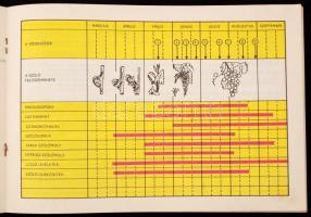Vegyes kertészeti könyv tétel: Kosinsky Viktor: A szőlőtermesztés kiskönyve (Bp., 1948); 12 hónap ke...