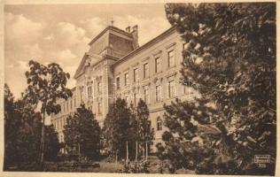 11 db RÉGI városképes és motívum képeslap, köztük 2 modern lappal, a Történelmi Magyarország városai...