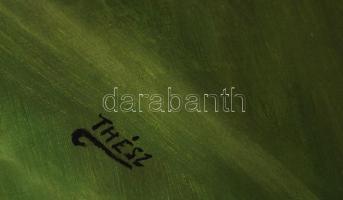 Thész jelzéssel: Asztali csendélet. Olaj, vászon, 60×80 cm