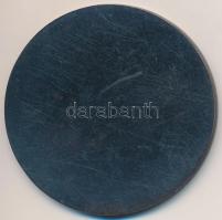 1987. "10. Pannonia Motorostalálkozó - Mickolctapolca" Br emlékérem (51mm) T:2