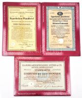 6db német részvény párosával becsomagolva, közte Németország / Weimari Köztársaság / Lipcse 1932. Kammgarnspinnerei Stöhr & Co. Részvénytársaság részvénye 100M-ról, lyukasztva, Német 3. Birodalom / Braunschweig 1936. Braunschweigi Nemzeti Bank 4 1/2%-os Jelzálogkötvény kötvény 1000M-ról, lyukasztva T:I,II 6pcs of German shares, packed in pairs, Germany / Weimar Republic / Leipzig 1932. Kammgarnspinnerei Stöhr & Co. Aktien-Gesellschaft share about 100 Mark, cancelled with hole; German Third Reich / Braunschweig 1936. Braunschweigische Staatsbank 4 1/2% Hypotheken-Pfandbrief share about 1000 Mark, cancelled with hole C:UNC,XF