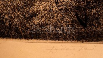 Dudás Jenő (1902-1991): Erdőben, rézkarc, papír, jelzett, keretben, 34x23cm