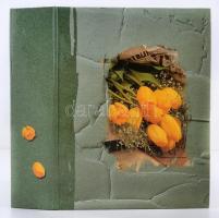 200 db MODERN művészlap albumban / 200 modern art postcard in album