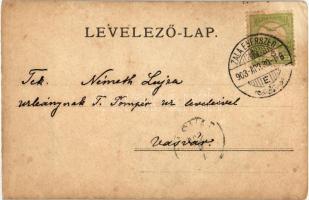 1903 Zalaegerszeg, park részlet, pár, photo  (EB)