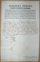 1849 Hivatalos irat Josephus Kunszt és Ludovicus Haynau aláírásával