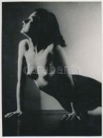 Támaszkodó akt, finoman erotikus fotó, 17x13 cm / erotic photo, 17x13 cm