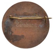 1978. "28. Villamosenergiaipari Természetjáró Találkozó Salgótarján" zománcozott fém jelvé...