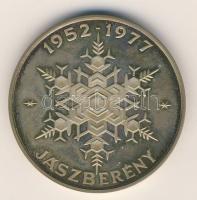 1977. "25 éves a hűtőgépgyár-Jászberény" Ag emlékérem 42,87g T:PP Eredeti díszdobozban!
