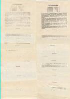 1990-es évek 20klf "Bongó" sorsjegy T:I