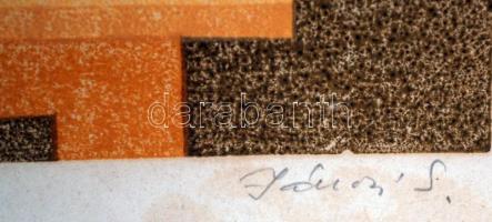 Jánosi Sándor (1927-):Virág. Színezett litográfia, papír, jelzett, üvegezett keretben, foltos, 32×22...