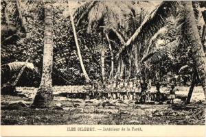 Gilbert Islands, Iles Gilbert; Forest