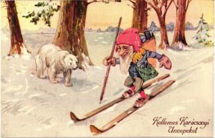 Christmas, skiing dwarf, polar bear