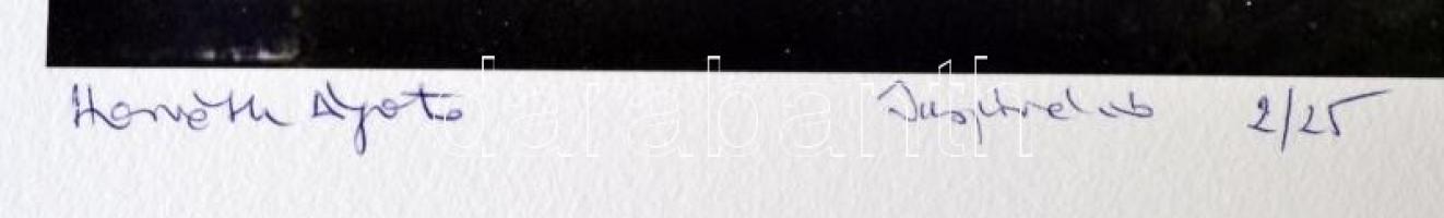 Horváth Ágota (1959-): Ráció. C-print, papír, jelzett, 24×18 cm