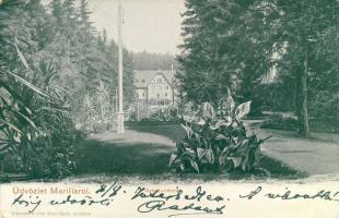 Marilla Medical Institute