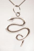 Ezüst nyaklánc medállal, Ag., nettó: 14,8gr.,  jelzett, 48cm/ Silver necklace with pendant, Ag, net....