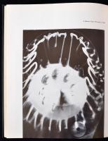 Kepes, György: Language of Vision. Chicago, 1967, Paul Theobald and Co. Vászonkötésben, jó állapotba...