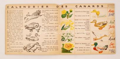 Plouf canard sauvage. texte de Lida, Images de Rojan Flammarion. Francia mesekönyv, illusztrált, sar...