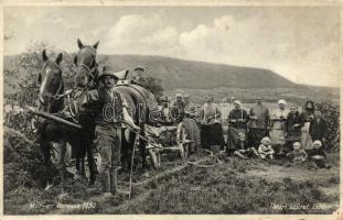 1930 Mór, szüret, csoportkép lovasszekérrel