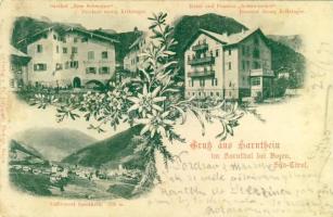 1899 Sarnthein Hotel