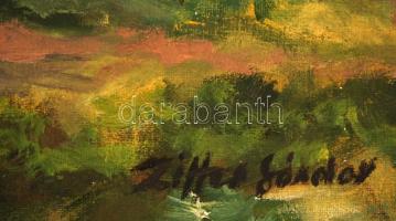 Ziffer jelzéssel: Házsor az erdő végén. Olaj, vászon, jelzett, 50x50 cm