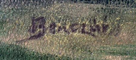 Benczúr jelzéssel: Virágcsendélet. Vegyes technika, papír-karton, 45×57cm