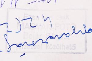 1955 Az Aranycsapatról készült eredeti fotó a Magyarország-Svédország mérkőzés előtt a Népstadionban...