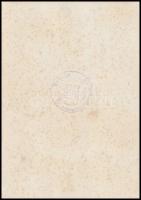 1943 Hitler felvonuláson,korabeli nyomtatvány, verzón horogkeresztes pecsét" Berlin, 1933-1943,...