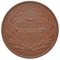 Osztrák-Magyar Monarchia 1888. "Ferenc József / Pécs 1888 - Az érdem jeléül" Br emlékérem ...