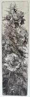 Hertay Mária (1932-): Szegfű. Rézkarc, papír, jelzett, 45×12 cm