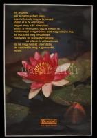 cca 1995 Környezetvédelmi plakátok, 2db, 84x58cm, 56x38cm