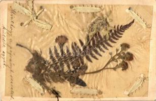 24 db RÉGI motívum képeslap, vegyes motívumok, vegyes minőség / 24 old motive postcards, mixed motiv...