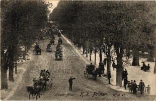 12 db RÉGI városképes képeslap, sok osztrák lappal és 1 lithoval, vegyes minőség / 12 old town view ...