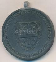 1940. "Erdélyi részek felszabadulásának emlékére" cink emlékérem mellszalag és függesztőka...