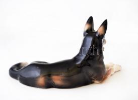 Porcelán német juhászkutya, kézzel festett, jelzett, hibátlan, 30x17 cm